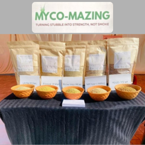 NIRAMAYA Product